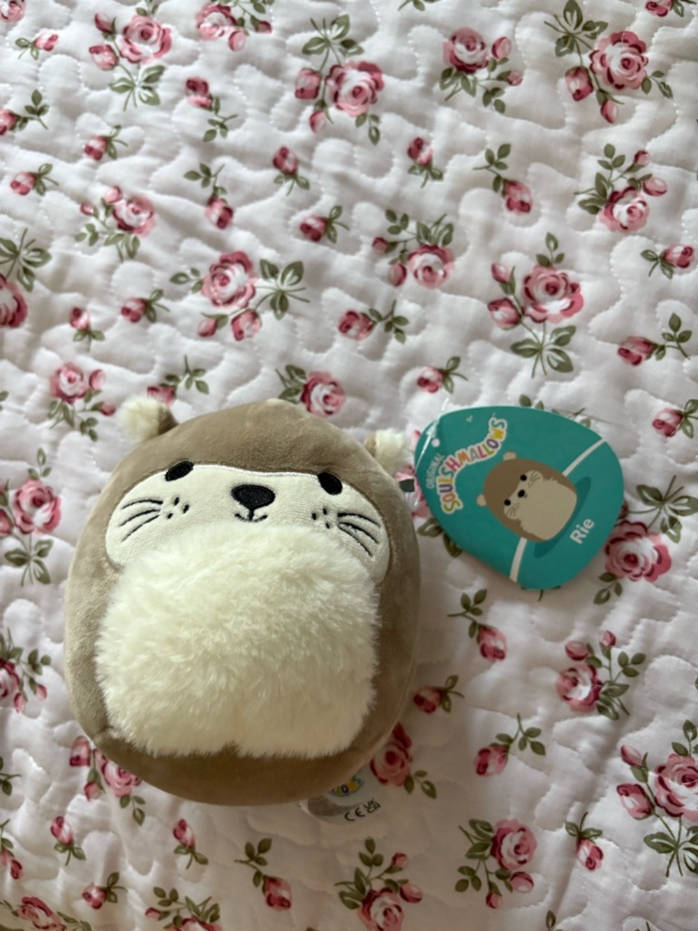 Squishmallows Rie the Otter Plush - Brown and Cream 5 inch